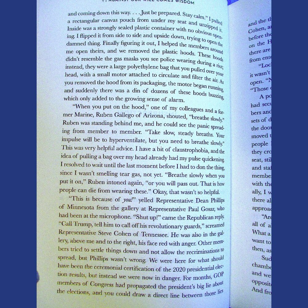 Book - Midnight in Washington: How We Almost Lost Our Democracy and Still Could - Picture 4 of 13